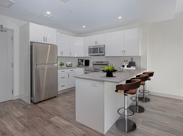 Luxury Apartment