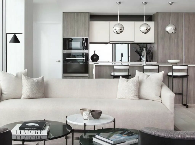 Luxury Apartment